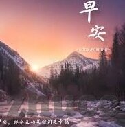 bet 007足球比分-揭秘Bet 007足球比分，数据背后的博弈与真相