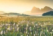 足球实时比分中心-足球实时比分中心，球迷的掌上观赛神器